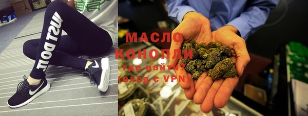 гидра Вяземский