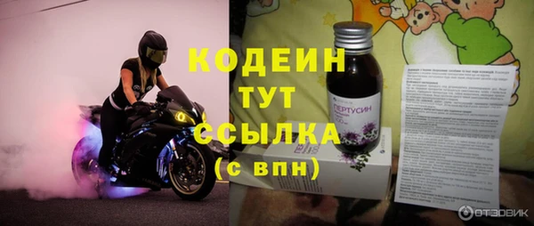 гидра Вяземский