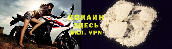 гидра Вяземский