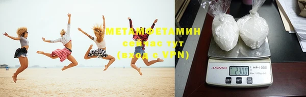 гидра Вяземский