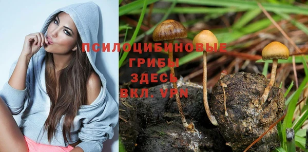 гидра Вяземский