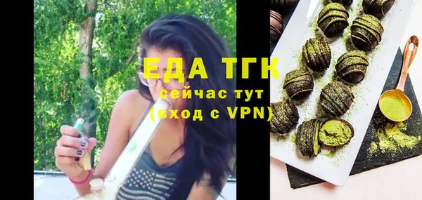 гидра Вяземский