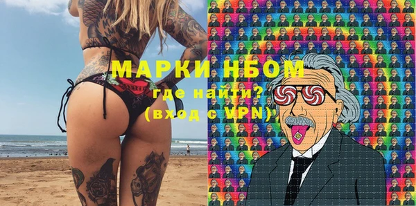 гидра Вяземский