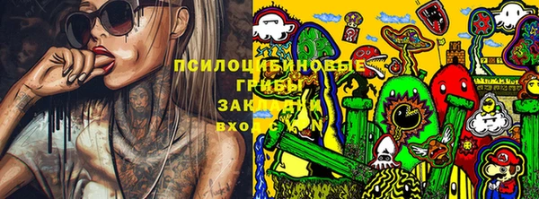 гидра Вяземский