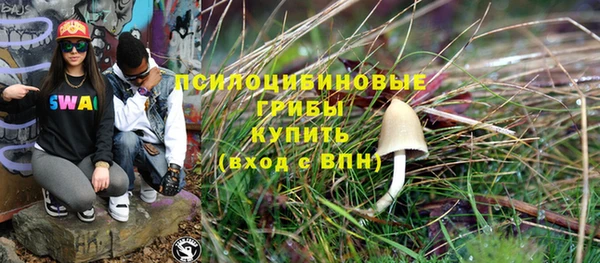 гидра Вяземский