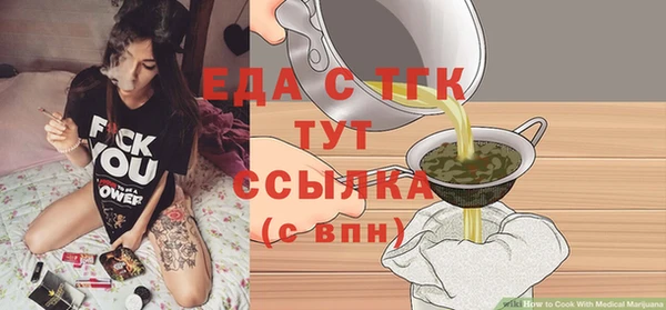 гидра Вяземский