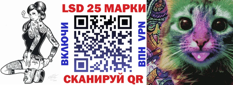 блэк спрут онион  Камызяк  Марки NBOMe 1,8мг 